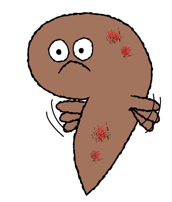 キャラクター - 株式会社SPD - 名古屋のホームページ制作・デザイン制作 Cartoon brown blob character with a sad face, small arms, and red scrapes on its body.